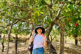 Mùa điều nơi biên viễn