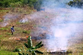 Mùa rẫy tới
