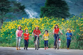 Theo dấu những mùa hoa