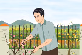 Ra Bắc, vào Nam
