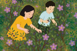Miền tím hoa sim