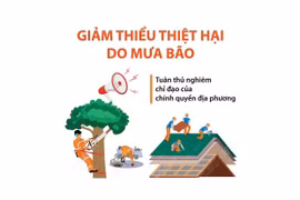 Một số biện pháp để giảm thiểu thiệt hại do gió bão và mưa lớn gây ra