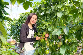 Thêm 4 mặt hàng nông sản được xuất khẩu chính ngạch sang Trung Quốc