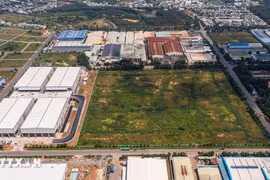 Miễn thuế sử dụng đất nông nghiệp đến hết ngày 31/12/2030