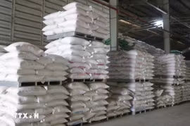 Việt Nam là nguồn cung cấp gạo lớn thứ ba cho Singapore