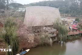 Măng Đen đón khách ngắm hoa anh đào với nhiều hoạt động đặc sắc