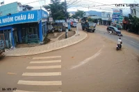 Sau khi gây ra tai nạn tài xế ô tô đã bỏ trốn (ảnh cắt từ clip).