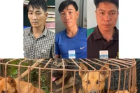 Công an xã Mang Yang bắt giữ 3 đối tượng dùng súng bắn điện để trộm chó