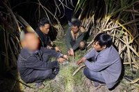 Phát hiện nhóm đối tượng tụ tập "đập đá" trong rẫy mía 