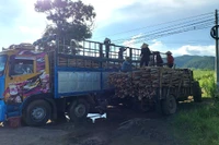 Có kẻ giả danh cơ quan chức năng “vòi tiền” chủ vườn keo ở xã Sró.