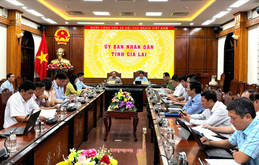 Các đại biểu tham dự phiên họp tại điểm cầu UBND tỉnh Gia Lai. Ảnh: N.H quyet-tam-chong-khai-thac-iuu-phat-trien-nganh-thuy-san-ben-vung.jpg