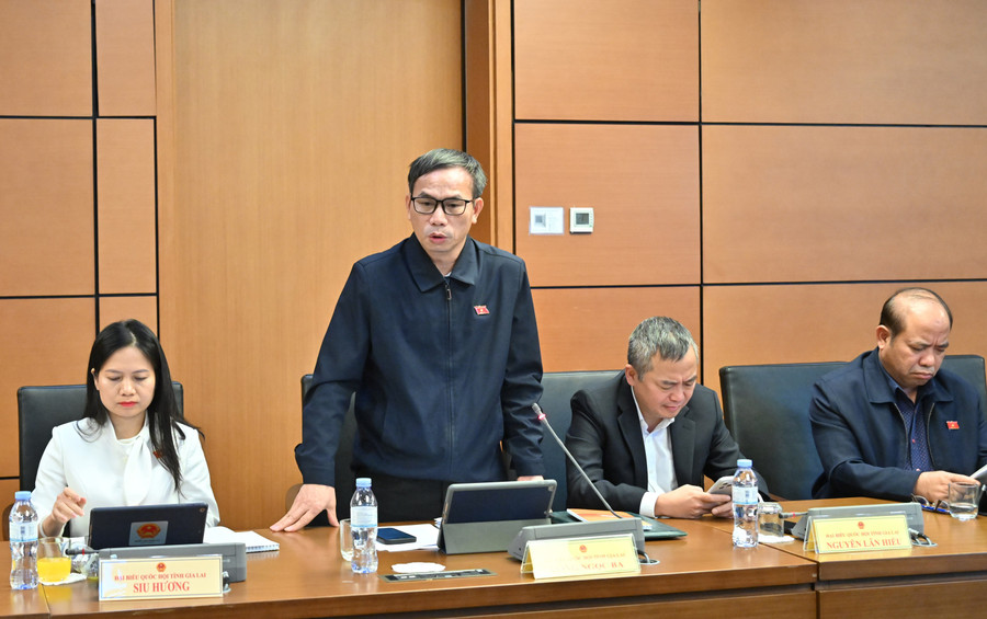 ドン・ゴック・バ副大臣は、現状において人工知能法の公布は非常に必要かつ緊急であると述べた。写真:省議会代表団 luat-tri-tue-nhan-tao-1.jpg