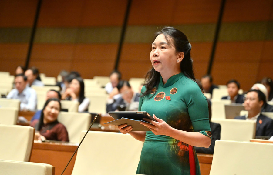 Phó Trưởng đoàn ĐBQH tỉnh Gia Lai Lý Tiết Hạnh cho rằng cần xác định rõ định hướng, nguyên tắc chung trong phương án ngân sách năm 2026. Ảnh: Đoàn ĐBQH tỉnh gen-h-phuong-an-ngan-sach-nam-2026.jpg