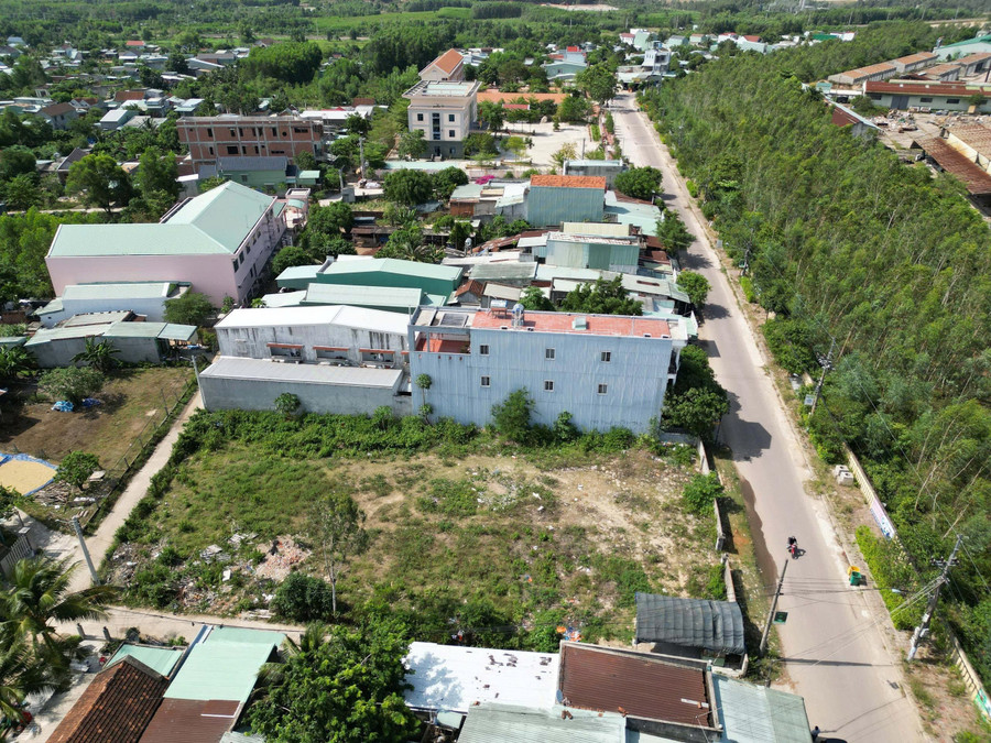 Khu vực có khu đất 2.500 m2 bị phản ánh sai phạm. Ảnh: Đức Minh thanh-tra-quan-ly-dat-dai-tai-quy-nhon-tay.jpg