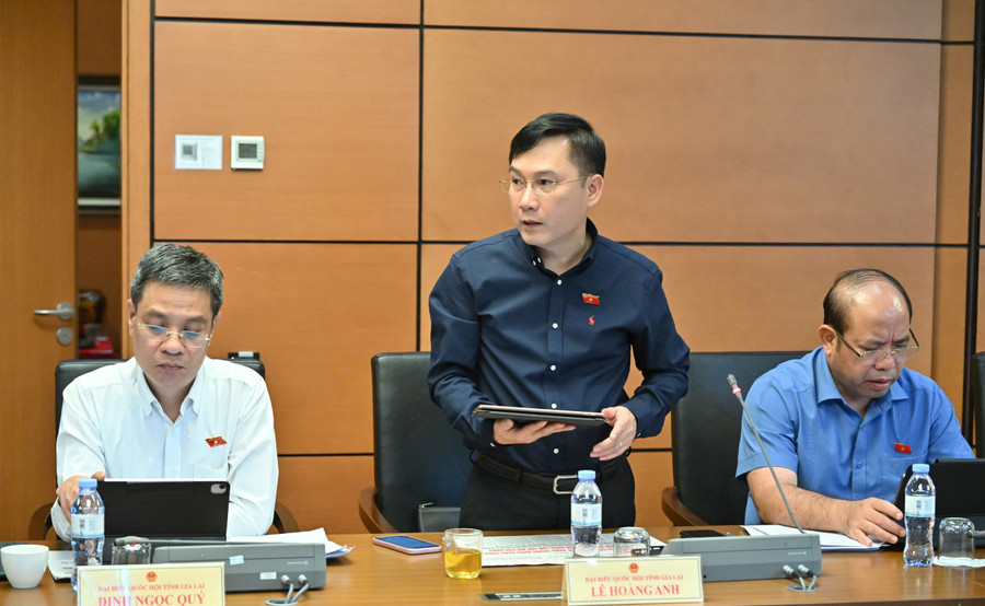 ĐB Lê Hoàng Anh đề nghị có thể thiết kế một điều mới, quy định về cơ chế công khai chất lượng đào tạo. Ảnh: Đoàn ĐBQH tỉnh gen-h-luat-giao-duc-4.jpg