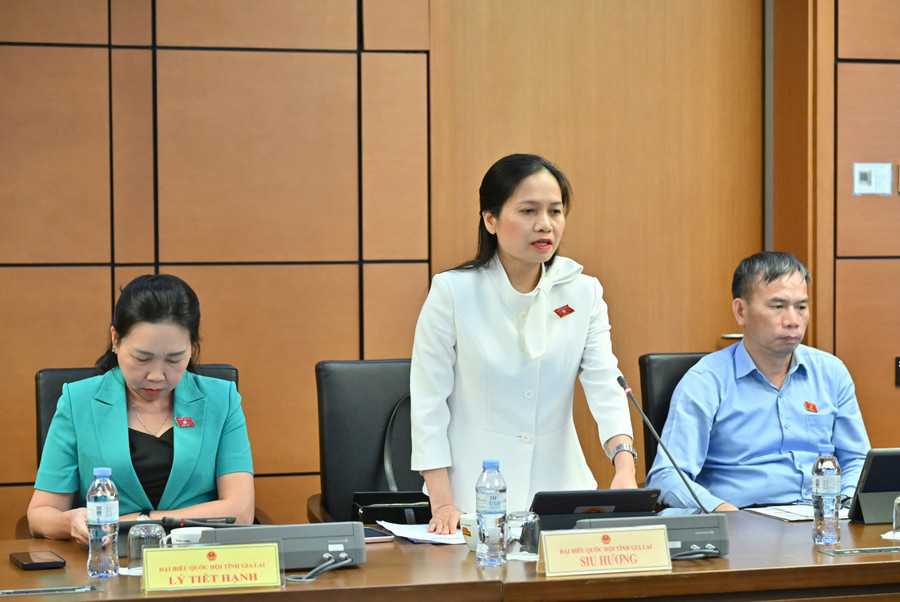 Theo Phó Trưởng đoàn ĐBQH tỉnh Siu Hương, cần có cơ chế ràng buộc trách nhiệm của cơ sở giáo dục nghề nghiệp và doanh nghiệp trong việc phối hợp đào tạo người lao động. Ảnh: Đoàn ĐBQH tỉnh gen-h-luat-giao-duc-2.jpg
