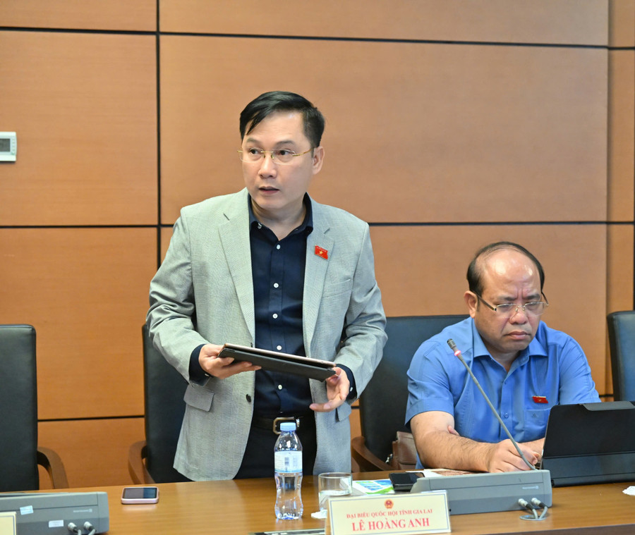 Theo ĐB Lê Hoàng Anh, nên bỏ nội dung về chính sách phát triển đơn vị sự nghiệp công lập khỏi Luật Viên chức. Ảnh: Đoàn ĐBQH tỉnh gen-h-tuyen-dung-can-bo-dan-toc-thieu-so-3.jpg
