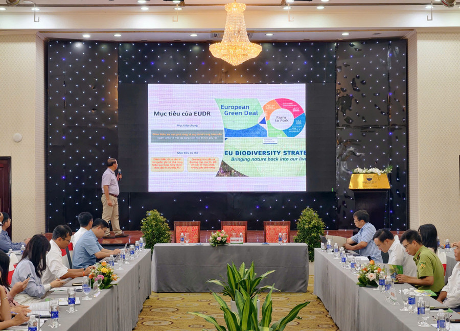 Le Dr Truong Tat Do, expert du Département des forêts et de la protection des forêts, a présenté l'exposé « Exigences pour une production non déforestatrice (EUDR) et solutions pour sa mise en œuvre ». Photo : Dung Nhan phat-trien-rung-trong-go-lon-co-chung-chi-quan-ly-rung-ben-vung-dap-ung-yeu-cau-eudr.jpg