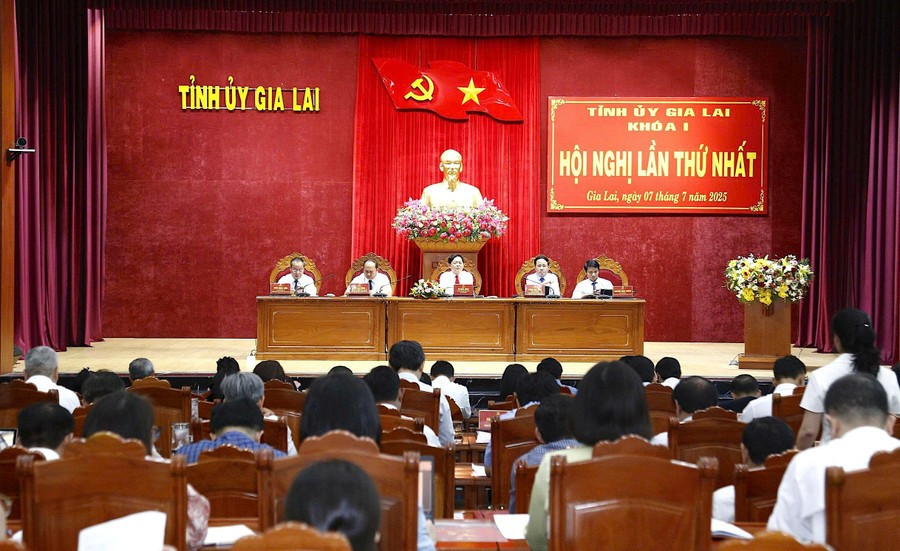 Hội nghị lần thứ nhất của Ban Chấp hành Tỉnh ủy Gia Lai khóa 2020-2025. Ảnh: H.P dai-hoi-dang-gia-lai.jpg