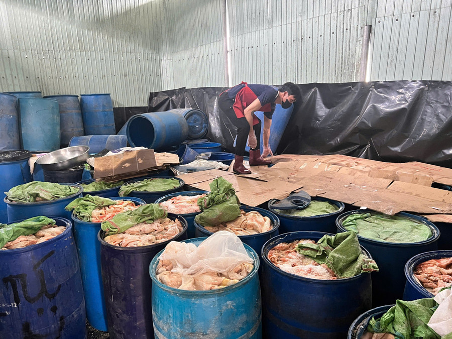 Cơ sở có hàng trăm thùng nhựa chứa da heo và mỡ bốc mùi hôi thối. Ảnh: Hải Yến co-so-lap-xuong-vi-pham.jpg
