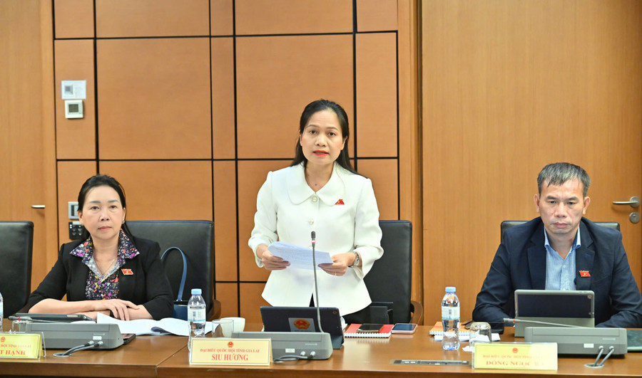 Phó Trưởng đoàn ĐBQH tỉnh Gia Lai Siu Hương đề xuất phải quy định nghiêm cấm lợi dụng danh nghĩa hoạt động nghiệp vụ báo chí để trục lợi. Ảnh: Đoàn ĐBQH tỉnh gen-h-luat-bao-chi.jpg