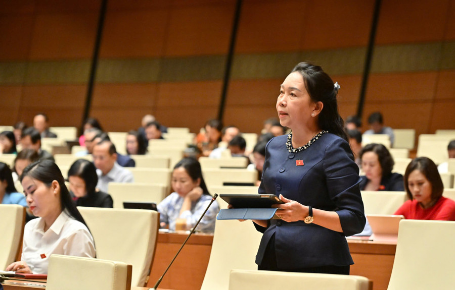 Theo Phó Trưởng đoàn ĐBQH tỉnh Gia Lai Lý Tiết Hạnh, cần có chính sách dài hơi, hấp dẫn hơn trong việc khuyến khích người dân phát triển rừng trồng cây gỗ lớn. Ảnh: Đoàn ĐBQH tỉnh gen-h-bao-ve-moi-truong.jpg