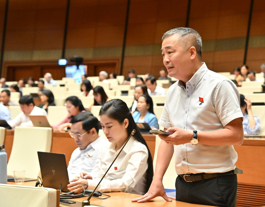 ĐB Nguyễn Lân Hiếu bày tỏ sự quan tâm đặc biệt đến công tác bảo vệ rừng. Ảnh: Đoàn ĐBQH tỉnh bao-ve-rung.jpg