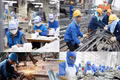 Doanh nghiệp thành lập mới bỏ vốn nhiều hơn nhưng tuyển ít người hơn
