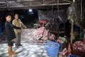 400 tấn heo bệnh, heo chết ra thị trường: Lỗ hổng nào trong kiểm soát thực phẩm?