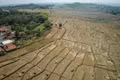 El Niño tác động thế nào đến an ninh lương thực toàn cầu?