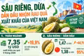 Sầu riêng, dừa dẫn đầu nhóm rau quả xuất khẩu của Việt Nam