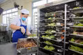 Bếp ăn tập thể: Ai chịu trách nhiệm khi hàng trăm người cùng nhập viện?