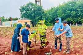 Đức Cơ phát động "Tết trồng cây đời đời nhớ ơn Bác Hồ”