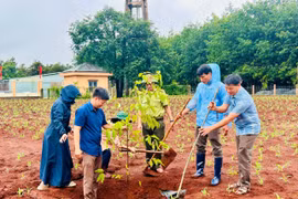 Đức Cơ phát động "Tết trồng cây đời đời nhớ ơn Bác Hồ”