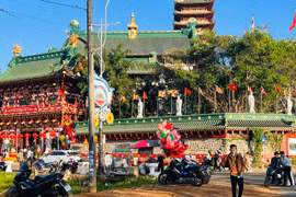 TP. Pleiku: Loạn giá vé gửi xe tại các điểm du xuân