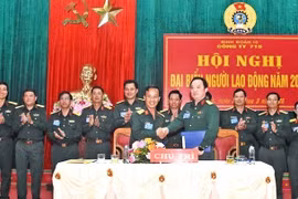 Công ty 715 phấn đấu năng suất bình quân cao su kinh doanh đạt 1,65 tấn/ha