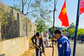 Chư Sê phát động Tết trồng cây “Đời đời nhớ ơn Bác Hồ”