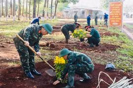 Công ty 715 phát động phong trào trồng cây “Đời đời nhớ ơn Bác Hồ”