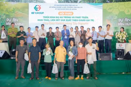 Phát động dự án trồng 100 triệu cây đàn hương trên vùng Tây Nguyên