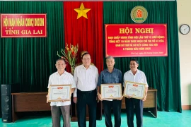 Gia Lai: Hơn 32 tỷ đồng chăm lo cho nạn nhân chất độc da cam/dioxin