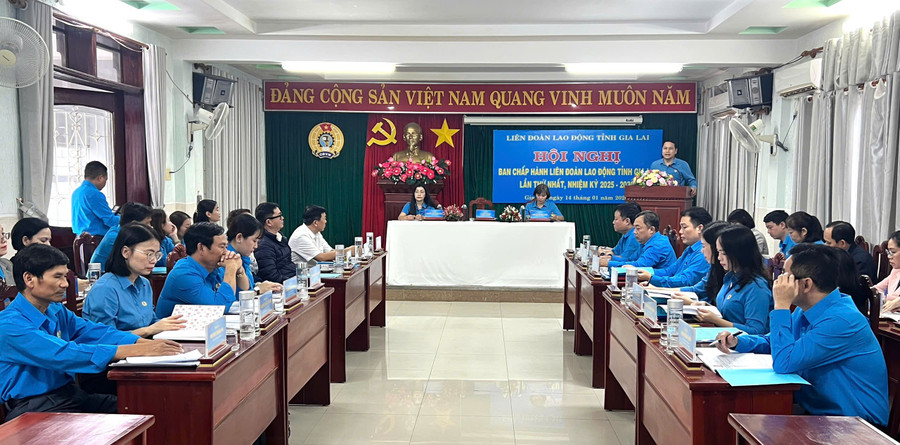 hoi-nghi-ban-chap-hanh-lien-doan-lao-dong-tinh-lan-thu-nhat.jpg