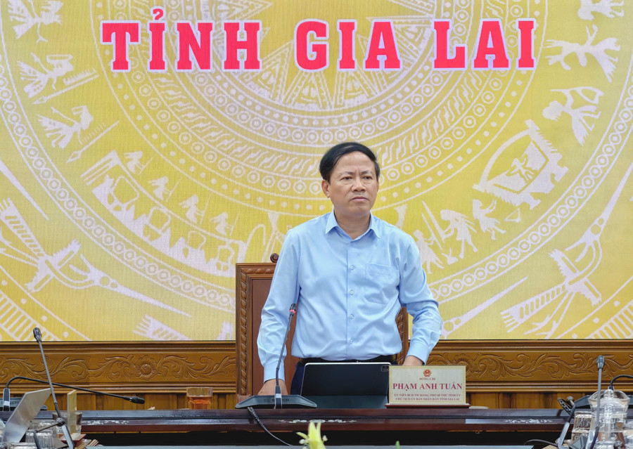 Chủ tịch UBND tỉnh Phạm Anh phát biểu chỉ đạo tại cuộc họp. Ảnh: Dũng Nhân