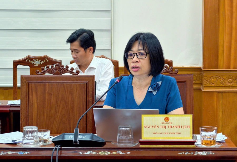 Phó Chủ tịch UBND tỉnh Nguyễn Thị Thanh Lịch phát biểu tại cuộc họp. Ảnh: Dũng Nhân