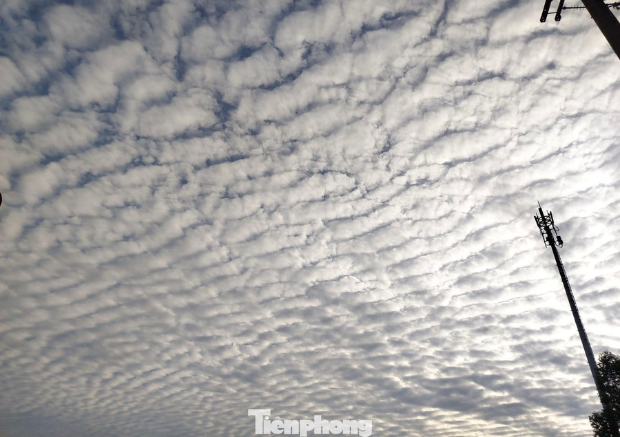 Liên quan hiện tượng trên, đại diện Đài Khí tượng thủy văn Nam Bộ cho biết, mây trên bầu trời TPHCM sáng nay, người dân quen gọi là 'lưới mây' hay “mây mắt cáo”, thực chất là loại mây tầng tích (stratocumulus) hoặc mây dạng sóng (undulatus).