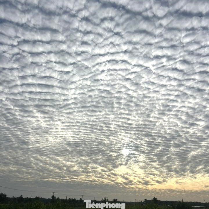 Từ sáng đến trưa 3/1, trên bầu trời TPHCM, xuất hiện mây bao phủ với hình thù﻿ đặc biệt.