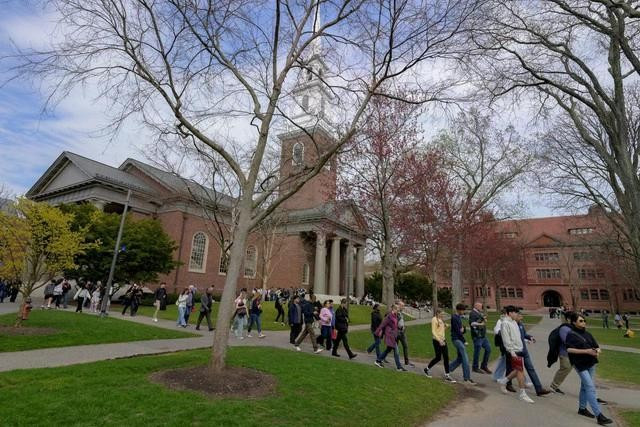 Sinh viên tại Đại học Harvard ẢNH: REUTERS 6192-1748389208819957727721.jpg