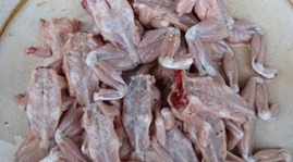 Ảnh minh họa. Ảnh minh họa.