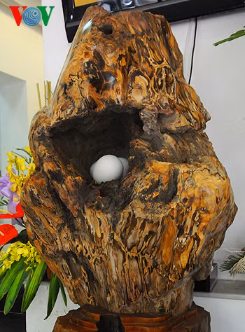 "Tổ ấm" cũng là một tác phẩm khác của Thiếu tướng, nhạc sĩ Trần Gia Cường làm từ gỗ hóa thạch