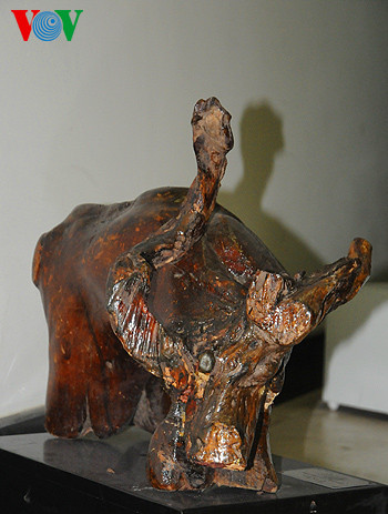 "Trâu" - gỗ lim trắng