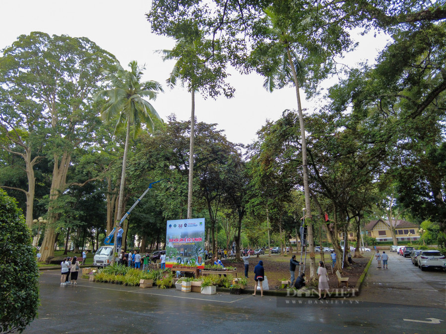 Bảo tàng Đắk Lắk và Di tích lịch sử quốc gia Biệt Điện Bảo Đại là nơi duy nhất trong thành phố bảo tồn được nhiều cây nguyên sinh, cây cổ thụ hàng trăm năm tuổi